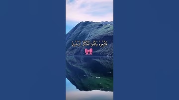 القران الكريم ( سورة الانعام ) 🌿 بصوت الشيخ ياسر الدوسري 💕