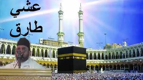الاستاد طارق العشي صلاة التراويح:اليوم12 من رمضان؛سورة مريم+طه