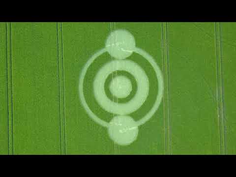 Crop Circle Norridge Wood Warminster Reported 22/05/2019