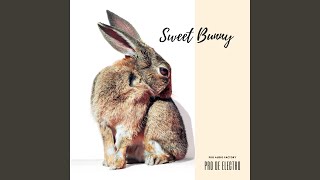 Sweet Bunny (Radio Edit)