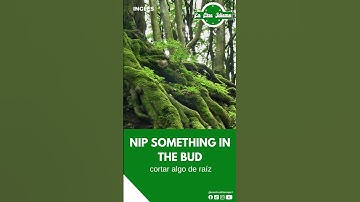 Nip something in the bud