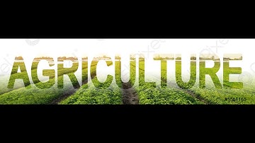 FORM 2 AGRUCULTURE LESSON  37 CROP PRODUCTION V VEGETABLE