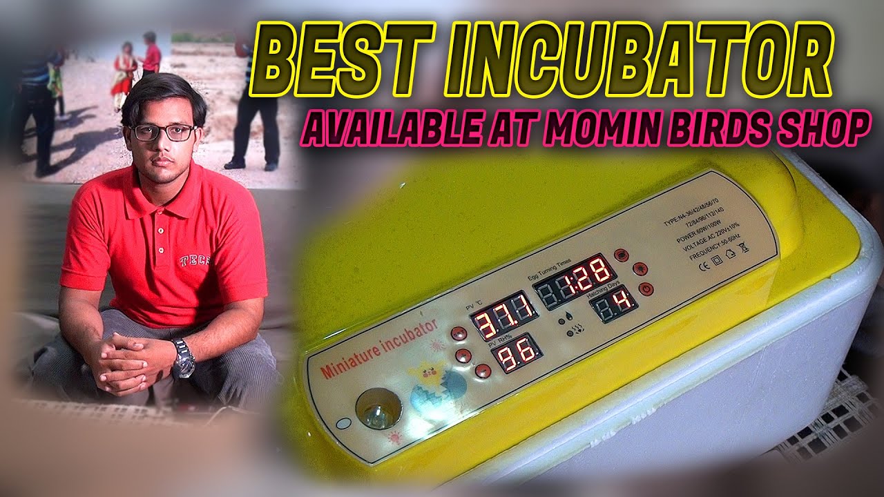 Best Performance Egg Incubator 2018 (Jamshed Asmi Informative Channel