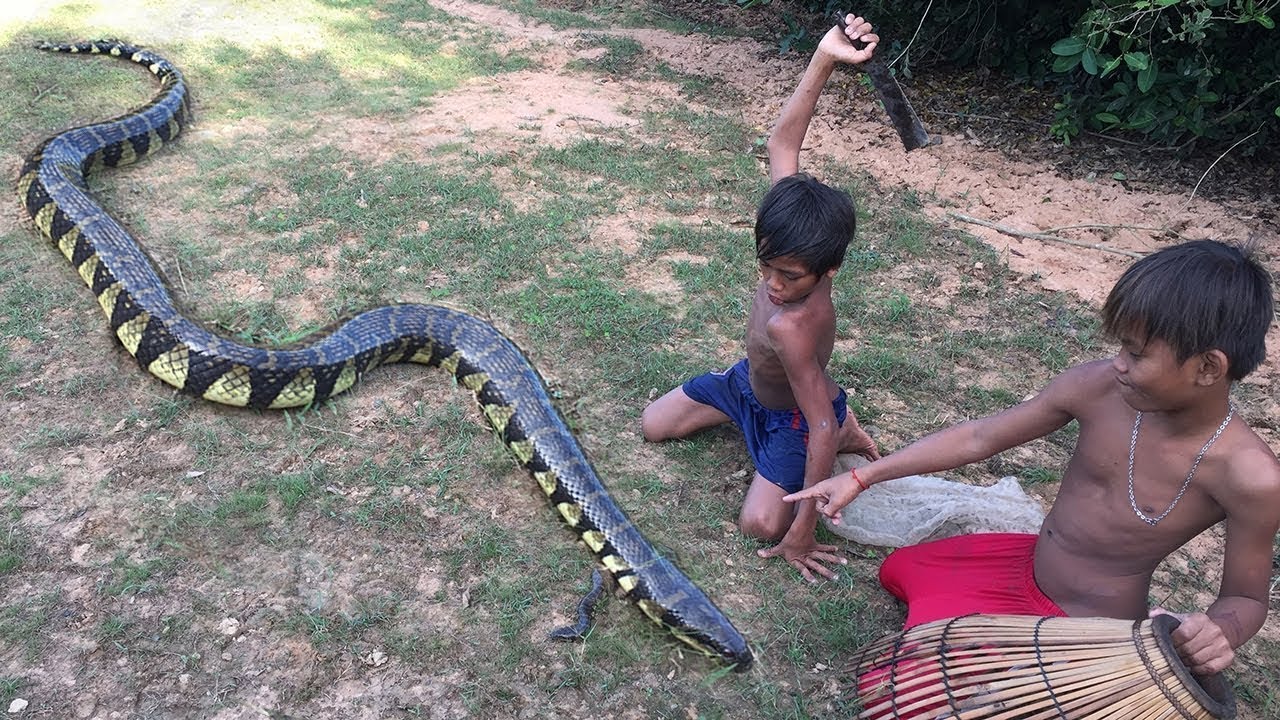Про змей для детей
