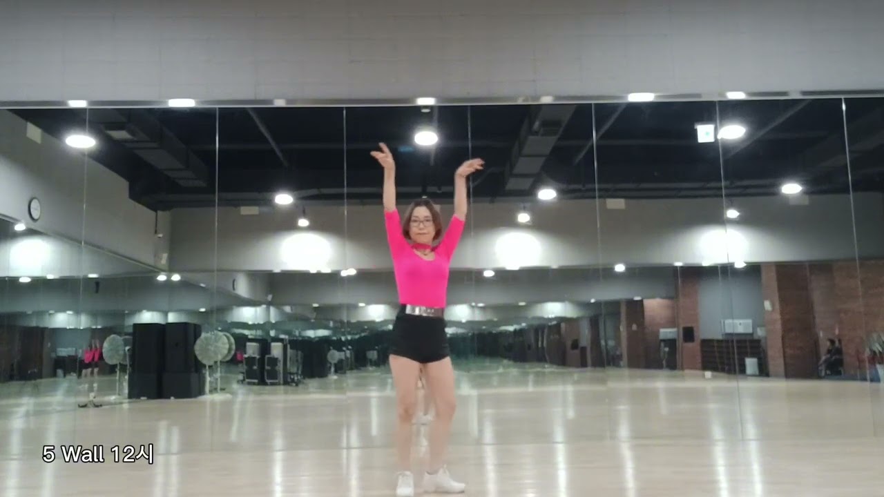 [DEMO] This is My Lifeㆍ디스이즈 마이라이프 라인댄스ㆍBeginner