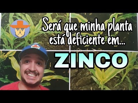 Vídeo: Zinco para plantas - corrigindo a deficiência de zinco nas plantas e os efeitos do excesso de zinco