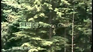 Watch John Denver Yellowstone Coming Home video