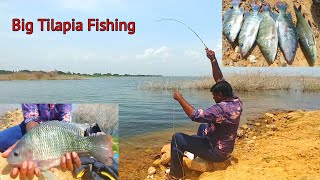 Tilapia Catching in singur dam |Singh Shikar Fishing | Village Fishing Vlog