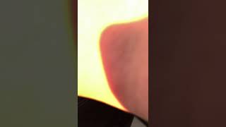 IMG 2821