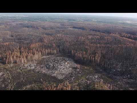 Video: Kazantipsky naturreservat: en oversikt