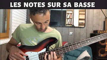 Quelles sont les notes sur une basse ?