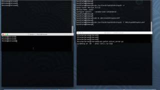 Full Host of Troubles: General cache poisoning attack against Squid Update