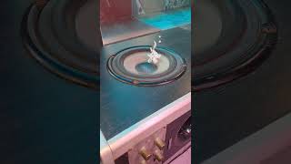 I Found A High End Speaker In My Shed B & Vibration Test