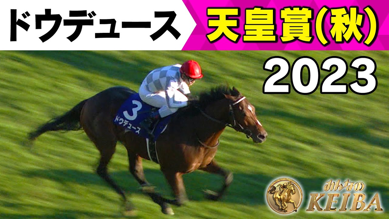 みんなの有馬記念 ラストラン直前！ドウデュースの軌跡】#8 2023年