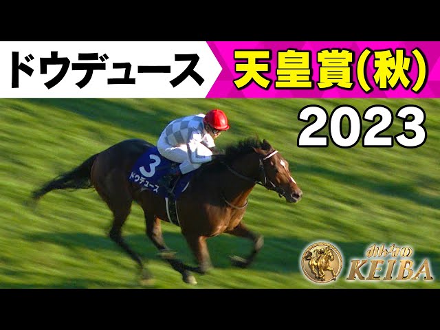 みんなの有馬記念 ラストラン直前！ドウデュースの軌跡】#8 2023年