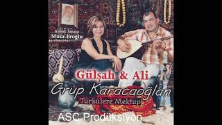 Musa Eroğlu&Grup Karacaoğlan - Uçup gitti telli turnam Resimi