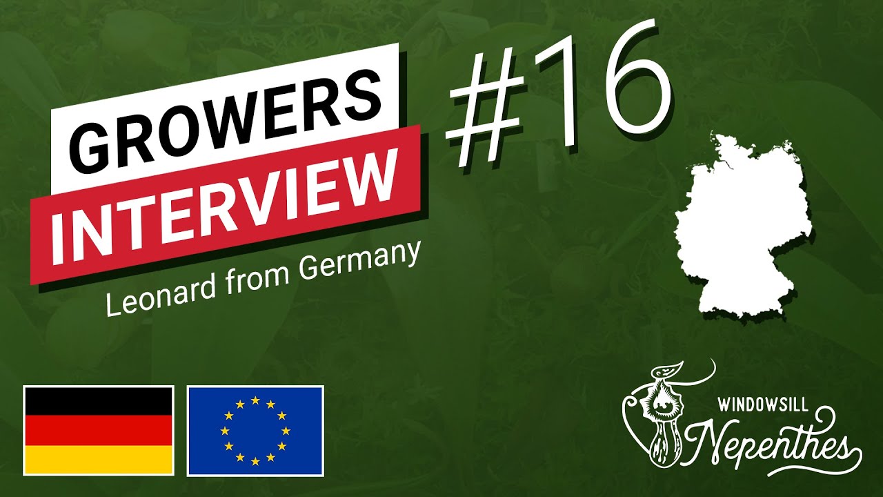 🇩🇪 Как выращивать непентес на подоконнике в Германии - Интервью с производителями непентесов на п...