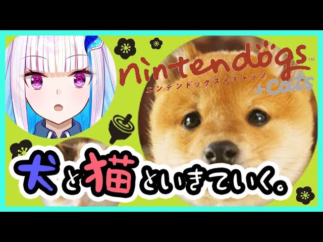 【nintendogs+cats】基本的に動物に好かれない【にじさんじ/リゼ・ヘルエスタ】のサムネイル