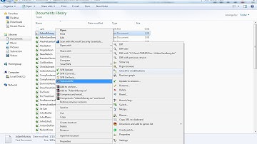 SVN Revert, Getting Locks