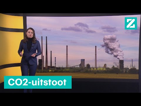 Video: Waarom CO2-compensatie Uw Essentiële Reisaccessoire Zou Moeten Zijn Voor 2020