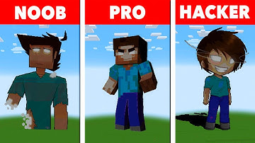 NOOB VS PRO VS HACKER Minecraft Pixel art Herobrine Animation