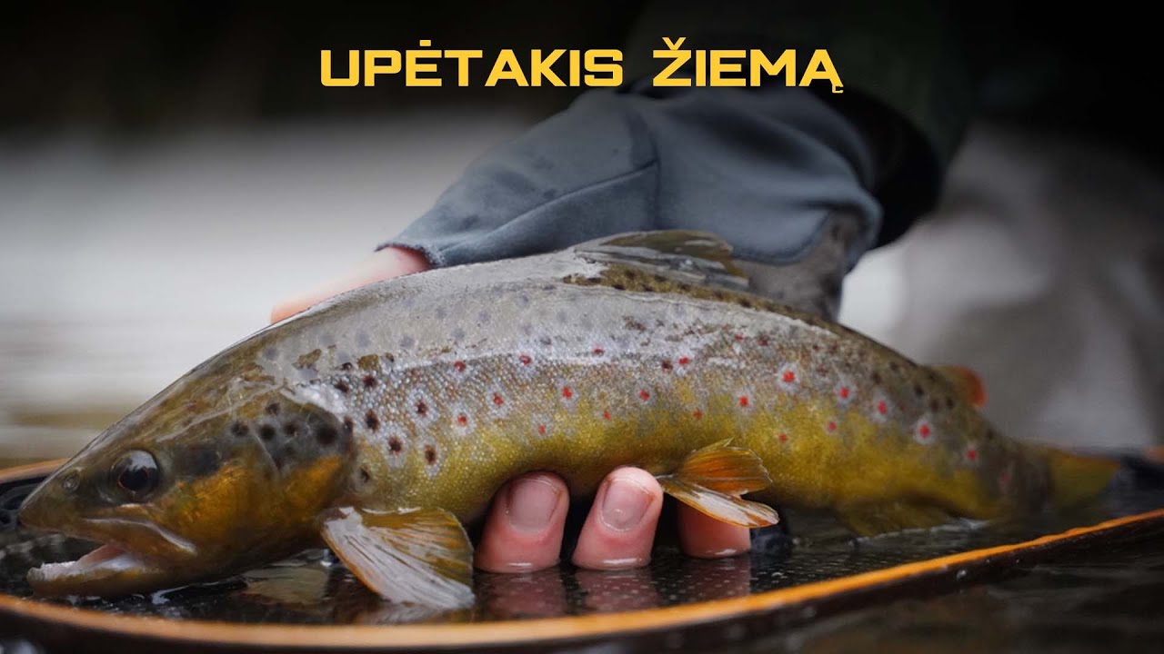 Upetakių žvejyba žiemą dzūkijoje