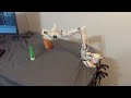 Robot teleop demo