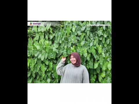 Biar aku yang pergi - YouTube