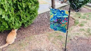 Such a Cute Garden Flag for Spring and Summer | Baccessor Spring Summer Black Cat Garden Flag