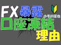 FX 暴露 口座凍結される理由