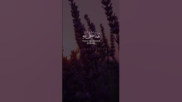 هذا خلق الله فأروني ماذا خلق الذين دونه|| #تلاوة_خاشعة #شريف_مصطفى سورة لقمان💗🥀🦋