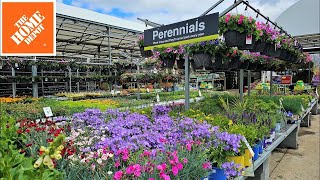 May NEW ARRIVALS Home Depot Garden Center Inventory 2024 Perennials, Annuals, Shrubs, Evergreens