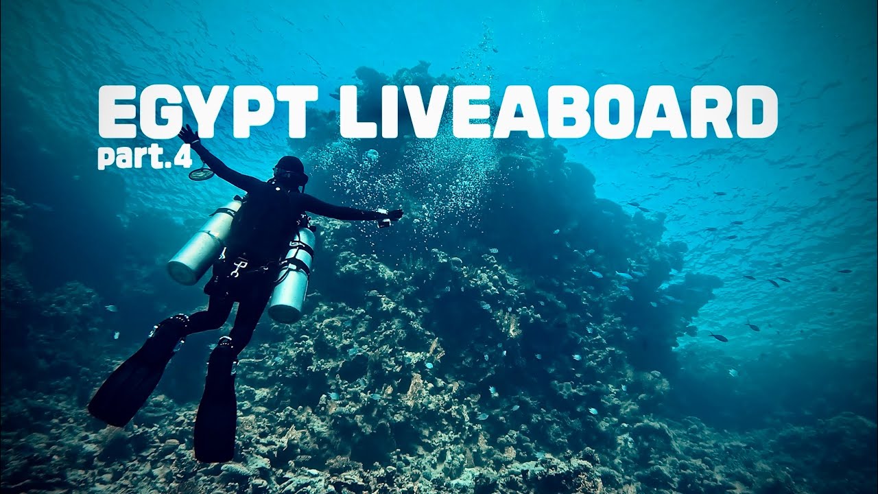 Egypt Liveaboard Red Sea part.4 North & Wrecky 이집트 홍해 리브어보드 북부 & 난파선 masterliveaboard