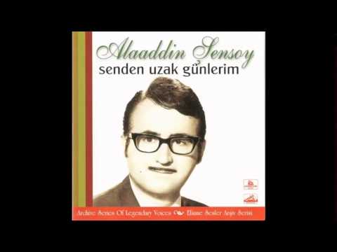 Alaaddin Şensoy - Gökyüzünde Yalnız Gezen Yıldızlar