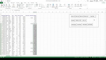 Excel Macro Buttons with Custom Filter