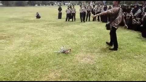 Visual Precision Landing using Quadcopter