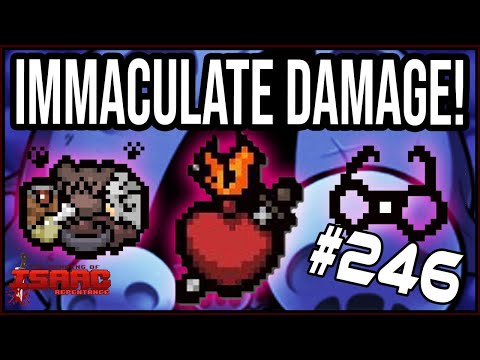 IMMACULATE Damage! - The Binding Of Isaac: Repentance #246