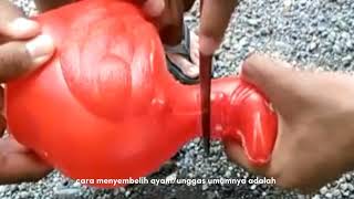 Tugas Pabp Penyembelihan Hewan