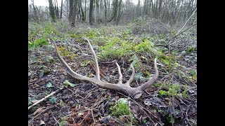 Jest kolejny świeży zrzut ! Piękny, solidny 14-tak 3.05 kg, zrzuty 2020