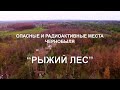 РЫЖИЙ ЛЕС. САМЫЕ ОПАСНЫЕ И РАДИОАКТИВНЫЕ МЕСТА ЧЕРНОБЫЛЬСКОЙ ЗОНЫ ОТЧУЖДЕНИЯ. Чернобыль сегодня