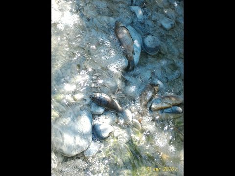 კატასტროფა  \" საპატრიარქოს ტბებზე \"