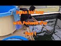 Japan koi tour with poisson dor part 1