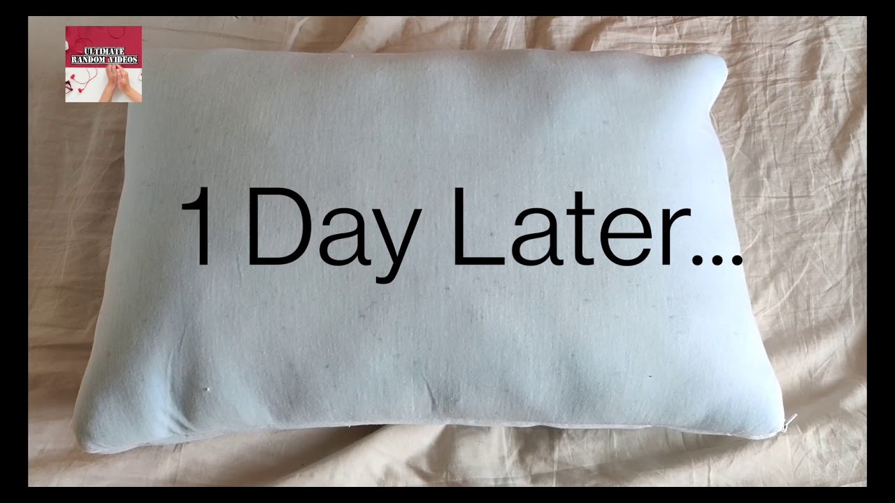 supportiback pillow reviews