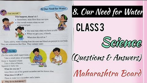 Our need for water | class 3 science | (Questions & Answers) Maharashtra Board #questionanswer #evs
