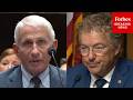 BREAKING: Rand Paul Tells Dr. Fauci To His Face That He Will Have A Vote To Hold Fauci In Contempt