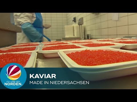 Video: Wie Man Roten Kaviar Auffrischt