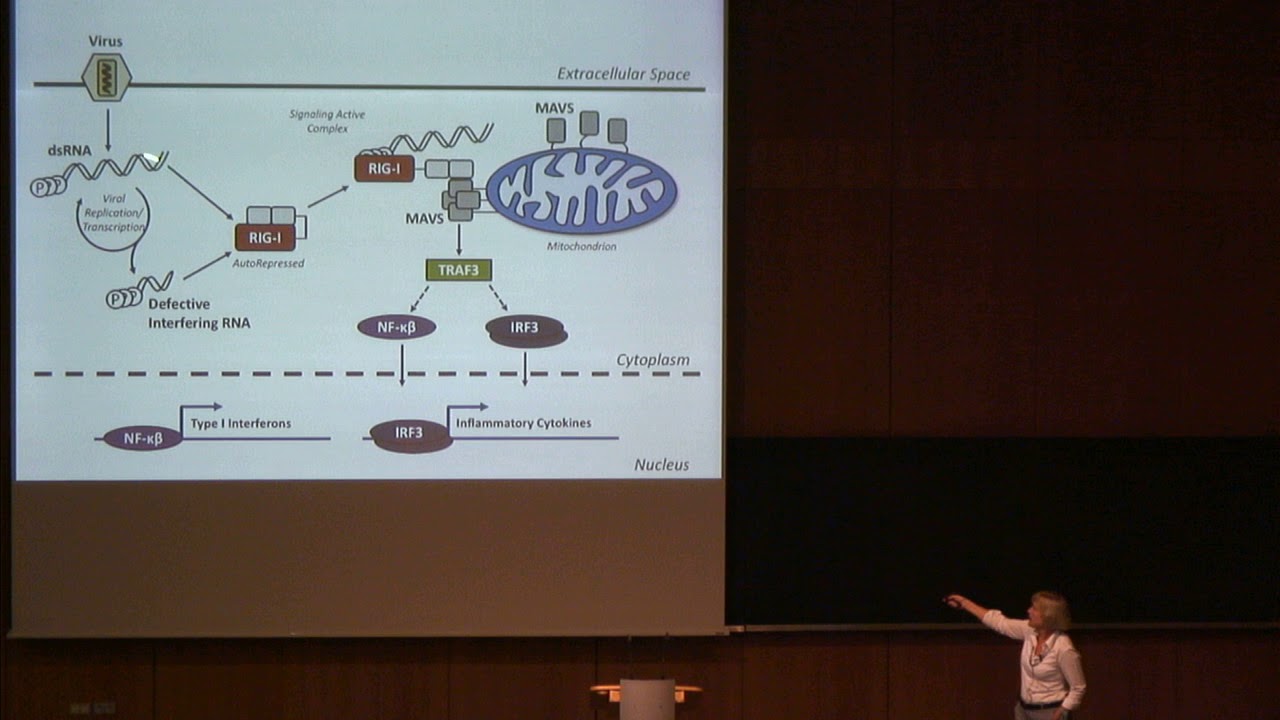 Anna Marie Pyle @Horizons2018 in Göttingen
