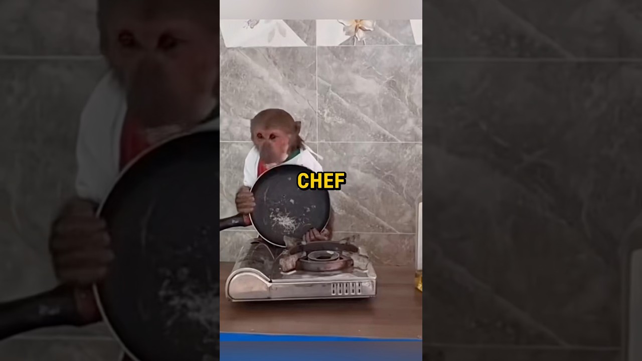 Шеф-повар Обезьянка 🐵👨‍🍳!