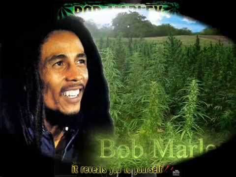 邦楽 The Boom Ganja Gun / Smoke A De Ganja 邦楽 The Boom Ganja Gun / Smoke A De Ganja Bob Marley
