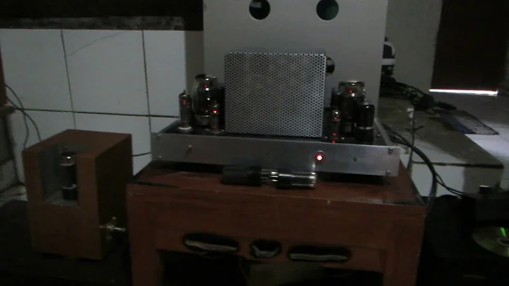 Kt 88 automatic bias, u can use 6l6,el34, 6550,kt88,kt66, by Rfm audio